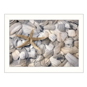 Starfish And Seashell Multicolor Paper Wall Art Poster - Omega Lifestyles
