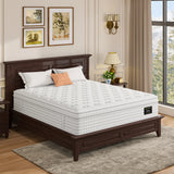 Medium 14-Inch Hybrid Memory Foam Pocket Spring Queen Mattress - Omega Lifestyles