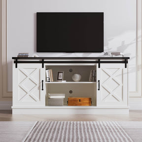Farmhouse Sliding Barn Door TV Stand Console - Omega Lifestyles
