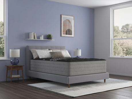 Medium 14-Inch Plush Foam Spring Queen Mattress - Omega Lifestyles