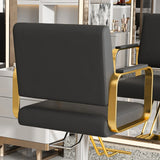 Hydraulic PU Leather Swivel Salon Barber Chair With Pump - Omega Lifestyles