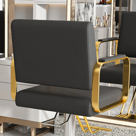 Hydraulic PU Leather Swivel Salon Barber Chair With Pump - Omega Lifestyles