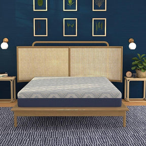 Medium 12-Inch Isotonic Memory Foam Twin XL Mattress - Omega Lifestyles