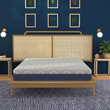 Medium 12-Inch Isotonic Memory Foam Hybrid Queen Mattress - Omega Lifestyles