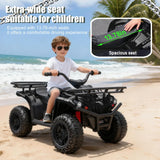 24V High-Power Kids Ride-On ATV With Storage Racks - Omega Lifestyles