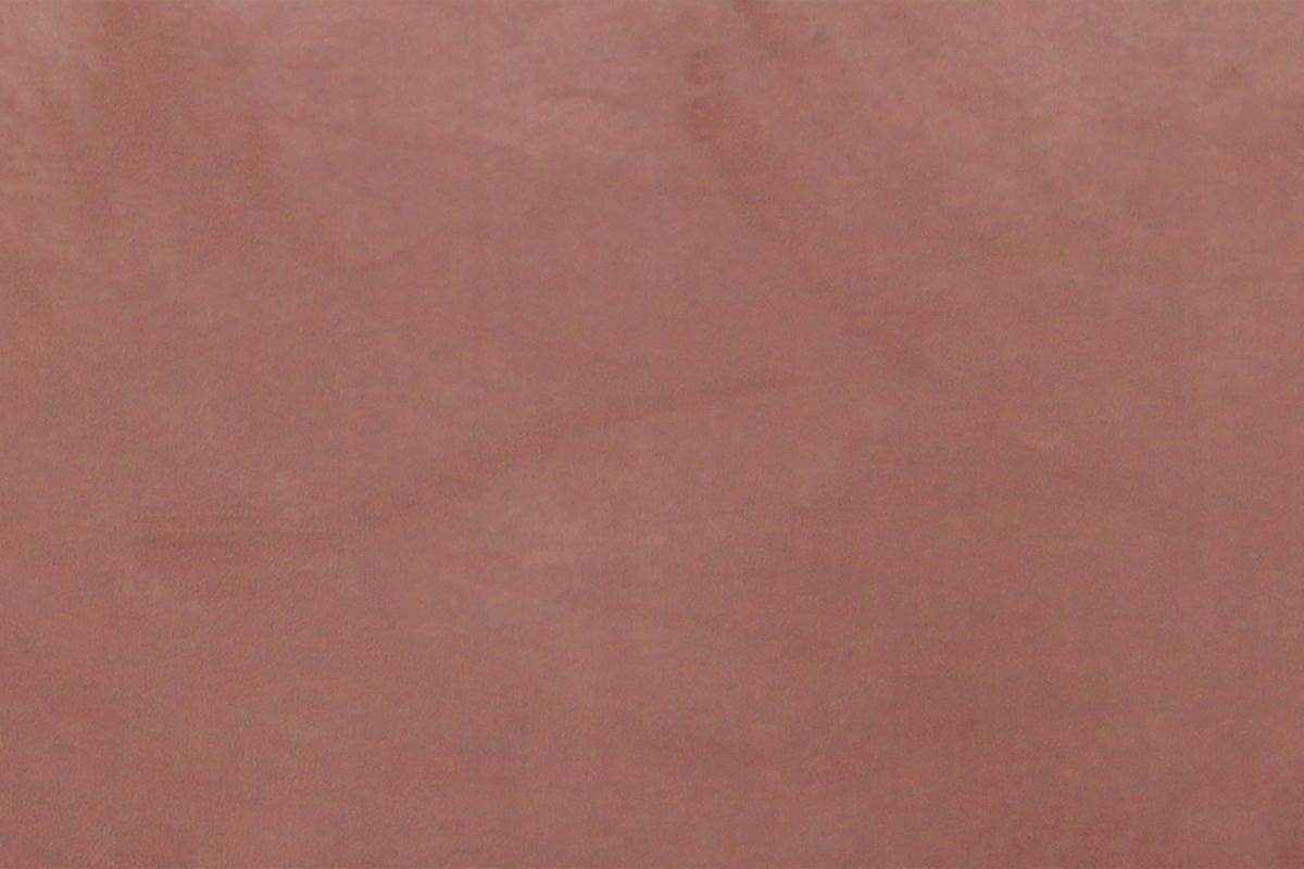20557148