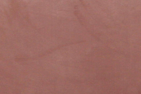 20557148