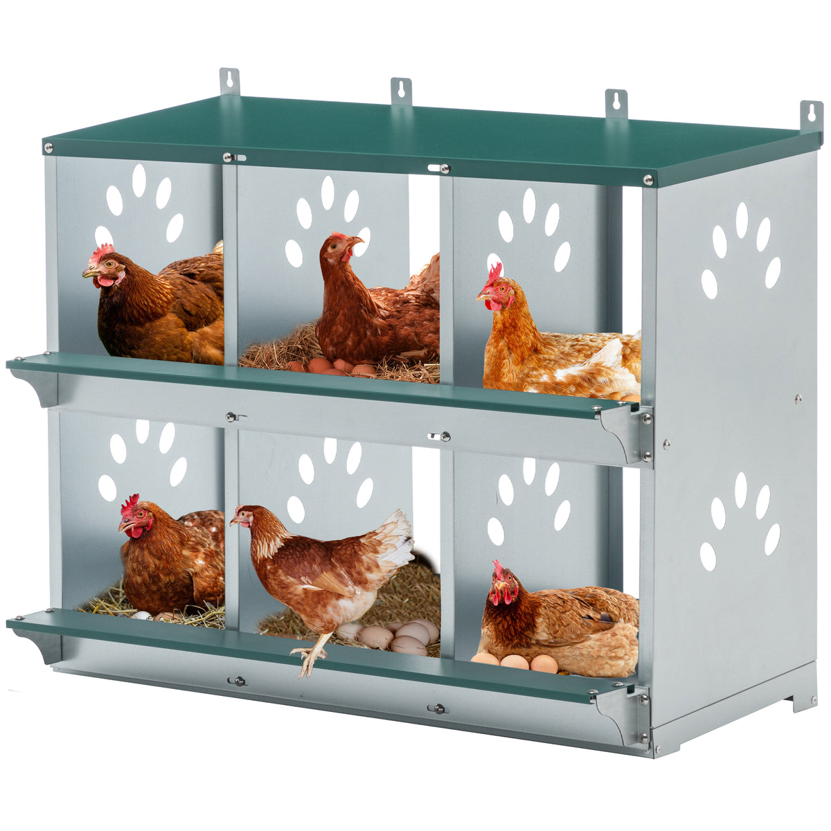 6-Room Galvanized Steel Metal Chicken Nesting Box