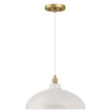 Astral Single Light White Brass Pendant Ceiling Lamp