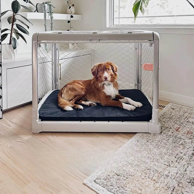 Collapsible Portable Travel Dog Crate With Wheels - Omega Lifestyles
