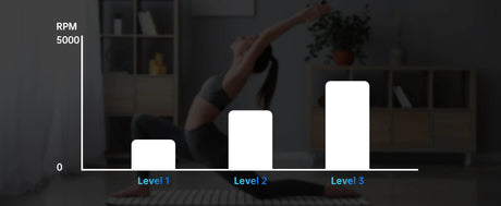 4-Head Deep Tissue Massage Gun with 3 Speed Levels - Omega Lifestyles