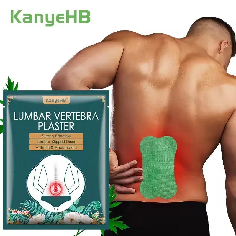 Set Of 12 Wormwood Self-Heating Lumbar Back Patches - Omega Lifestyles