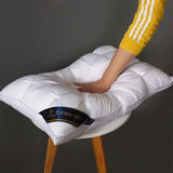 Luxury Cooling Queen Size Down Pillow Set of 2 - Omega Lifestyles