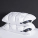 Luxury Cooling Queen Size Down Pillow Set of 2 - Omega Lifestyles
