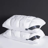 Luxury Cooling Queen Size Down Pillow Set of 2 - Omega Lifestyles