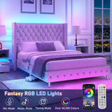 Queen Velvet Upholstered LED Wingback Bed Frame With USB Ports