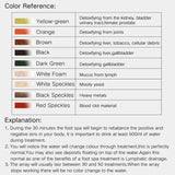 Foot Detox Ionic Spa Massage And Detoxification Machine - Omega Lifestyles