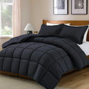 2-Piece Reversible All-Season Polyester Comforter Set - Omega Lifestyles