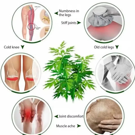 Electric Calf Heating Massager With Mugwort Compress - Omega Lifestyles