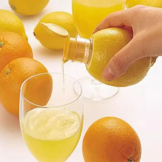 Manual Portable Compact Hand Press Citrus Juicer - Omega Lifestyles