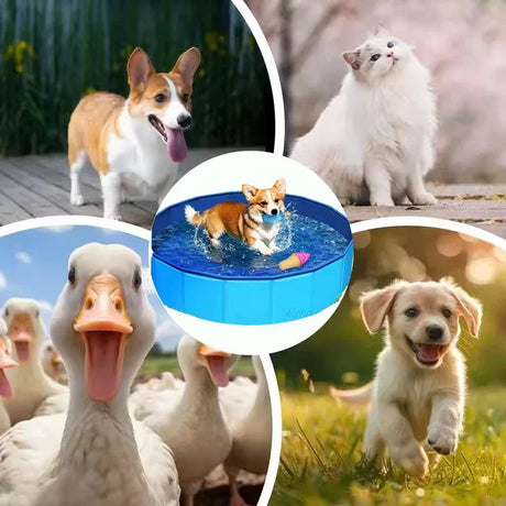 Foldable Non-Slip Portable Pet Swimming Pool - Omega Lifestyles