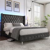 Queen Velvet Upholstered Wingback Bed Frame With LED Lights