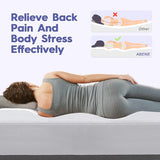 Extra Thick Plush Pillow Top Twin Mattress Topper - Omega Lifestyles