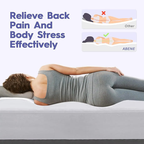 Extra Thick Plush Pillow Top Twin Mattress Topper - Omega Lifestyles