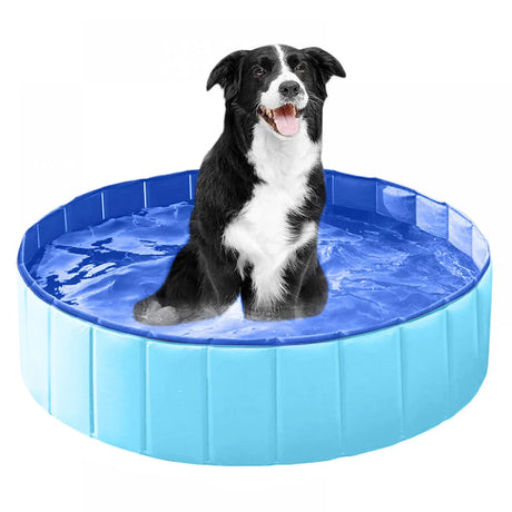 Foldable Non-Slip PVC Pet Swimming Pool - Omega Lifestyles