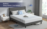 Queen Upholstered Linen Platform Bed Frame With Storage