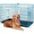 Folding Heavy Duty Iron Pet Crate For Dogs - Omega Lifestyles