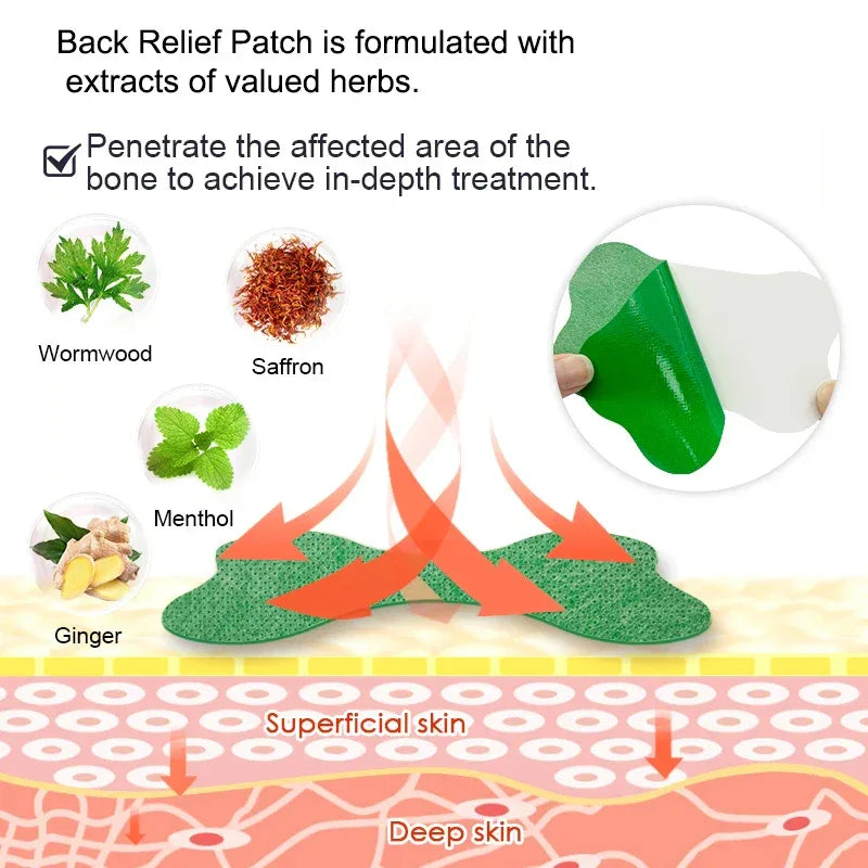 Set Of 12 Wormwood Self-Heating Lumbar Back Patches - Omega Lifestyles