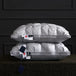 95% Goose Down Like Anti-Snore Cotton Sleeping Pillow 48x74cm Low - Omega Lifestyles