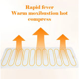 Electric Heating Moxibustion Therapy Massage Mat Pad - Omega Lifestyles