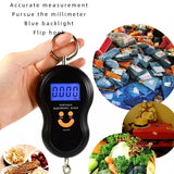 Portable Digital Hanging Scale 50kg Capacity With Backlight - Omega Lifestyles