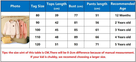 2-Piece Kids Thick Fleece Hooded Sweatshirt Pants Set - Omega Lifestyles