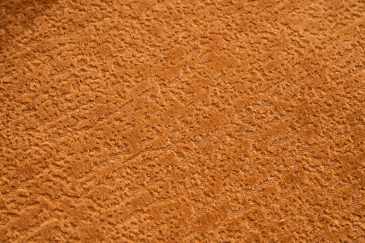 20555145