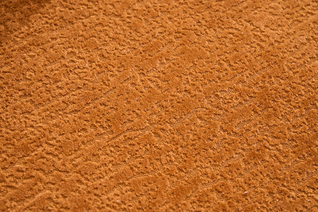 20555145