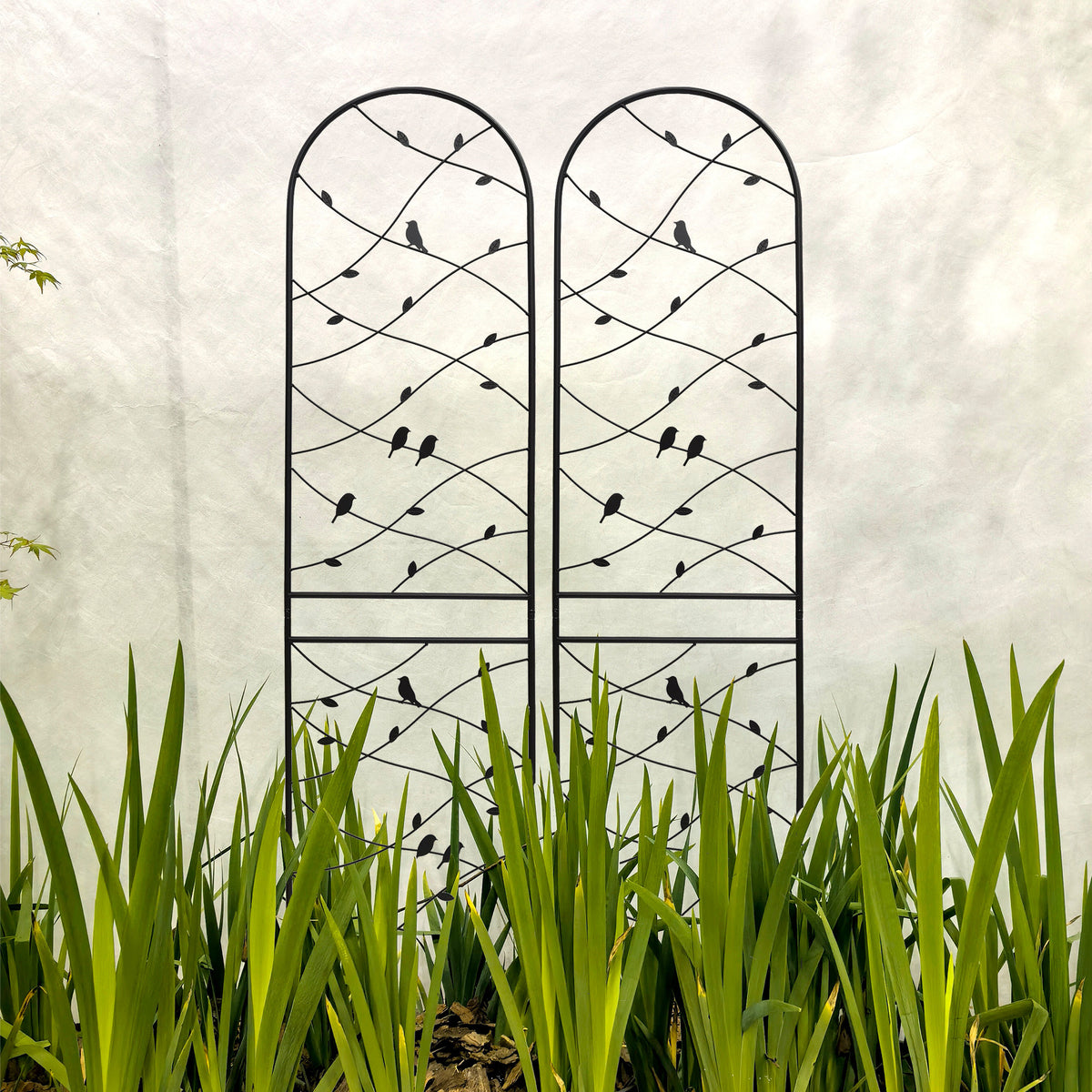 Pair Of Rustproof Black Iron Metal Garden Trellises