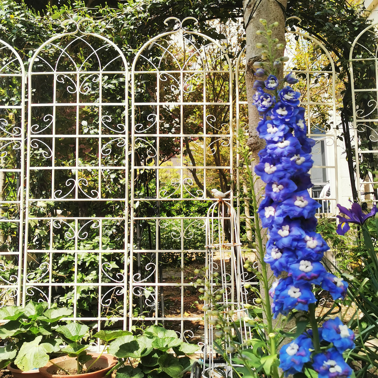 Set of 4 Powder-Coated Rustproof Iron Garden Trellis