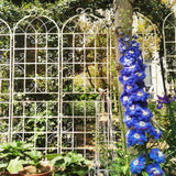 Set of 4 Powder-Coated Rustproof Iron Garden Trellis