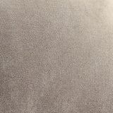 20557585