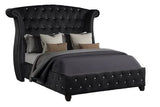 Sophia Upholstered Queen Bed Frame With Acacia Wood - Omega Lifestyles