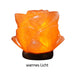 Himalayan Salt LED Night Light with Base - Omega Lifestyles
