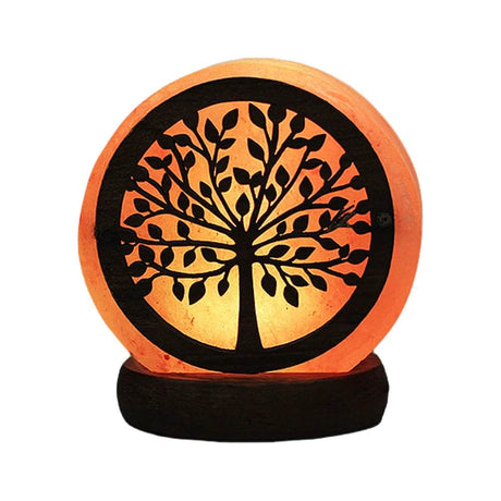 Himalayan Salt LED Night Light with Base - Omega Lifestyles