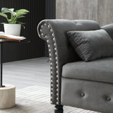 Velvet Upholstered Storage Chaise Lounge With Pillow - Omega Lifestyles