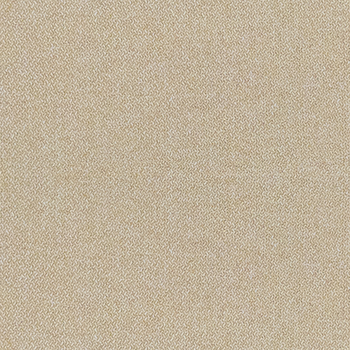 20844565