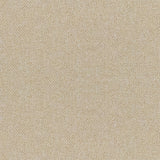 20844565