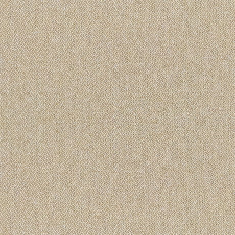 20844565