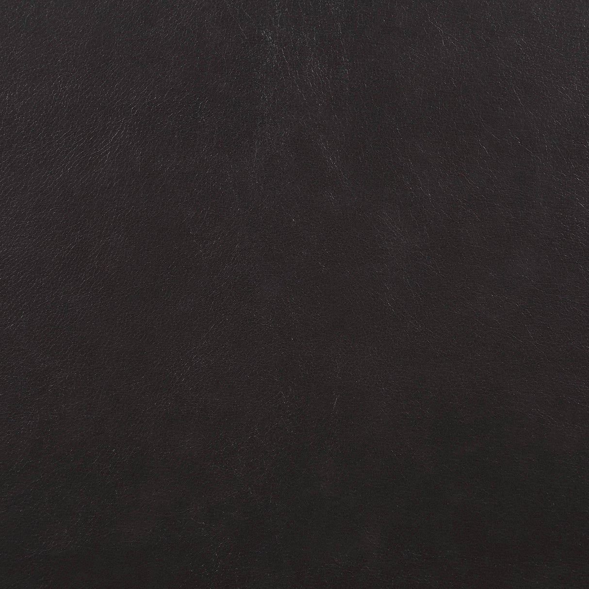 20557512